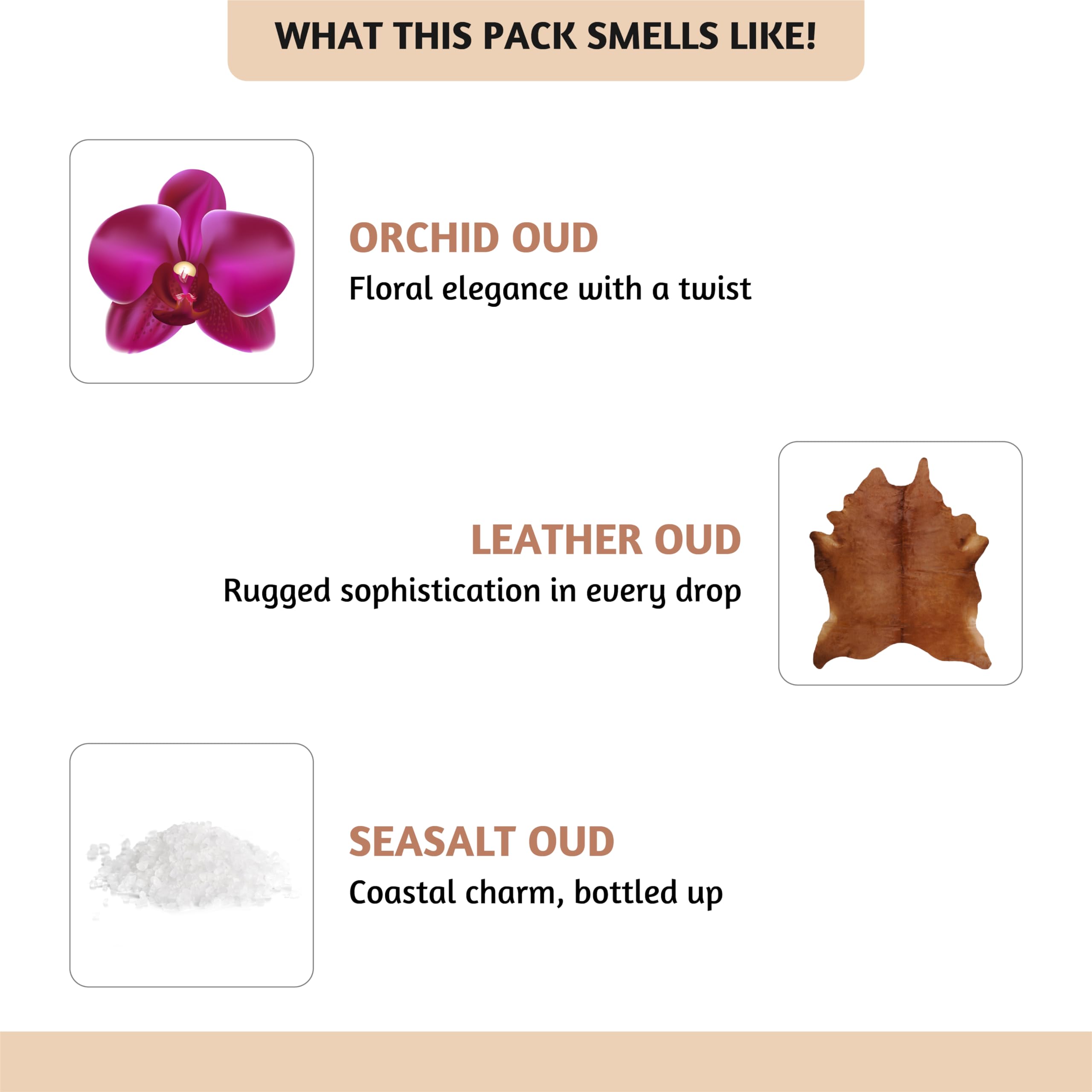 Folkulture Set of 6, 10ml Premium Fragrance Oils Oud Indulgence