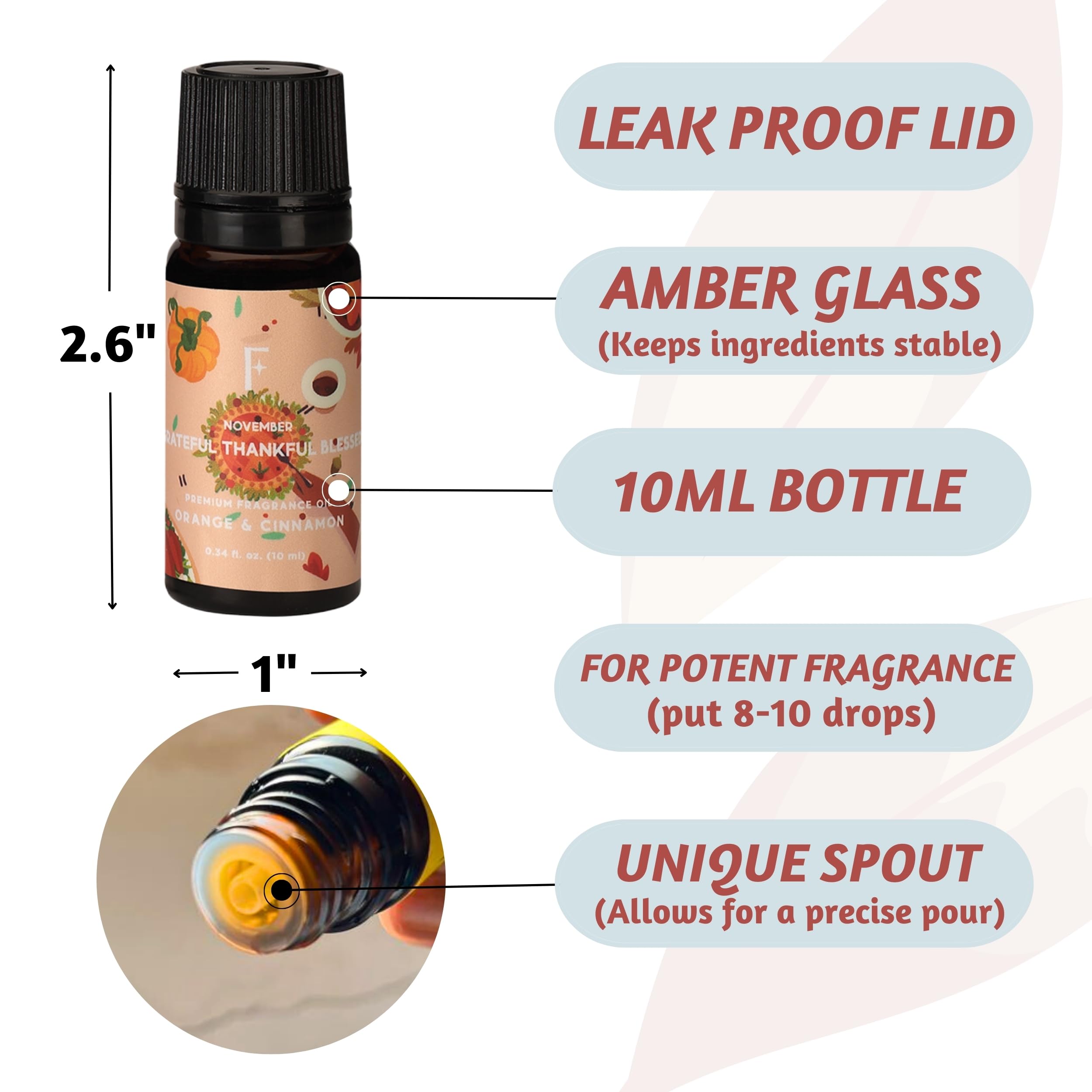 Folkulture Set of 12, 10ml Premium Fragrance Oils - A year to remember
