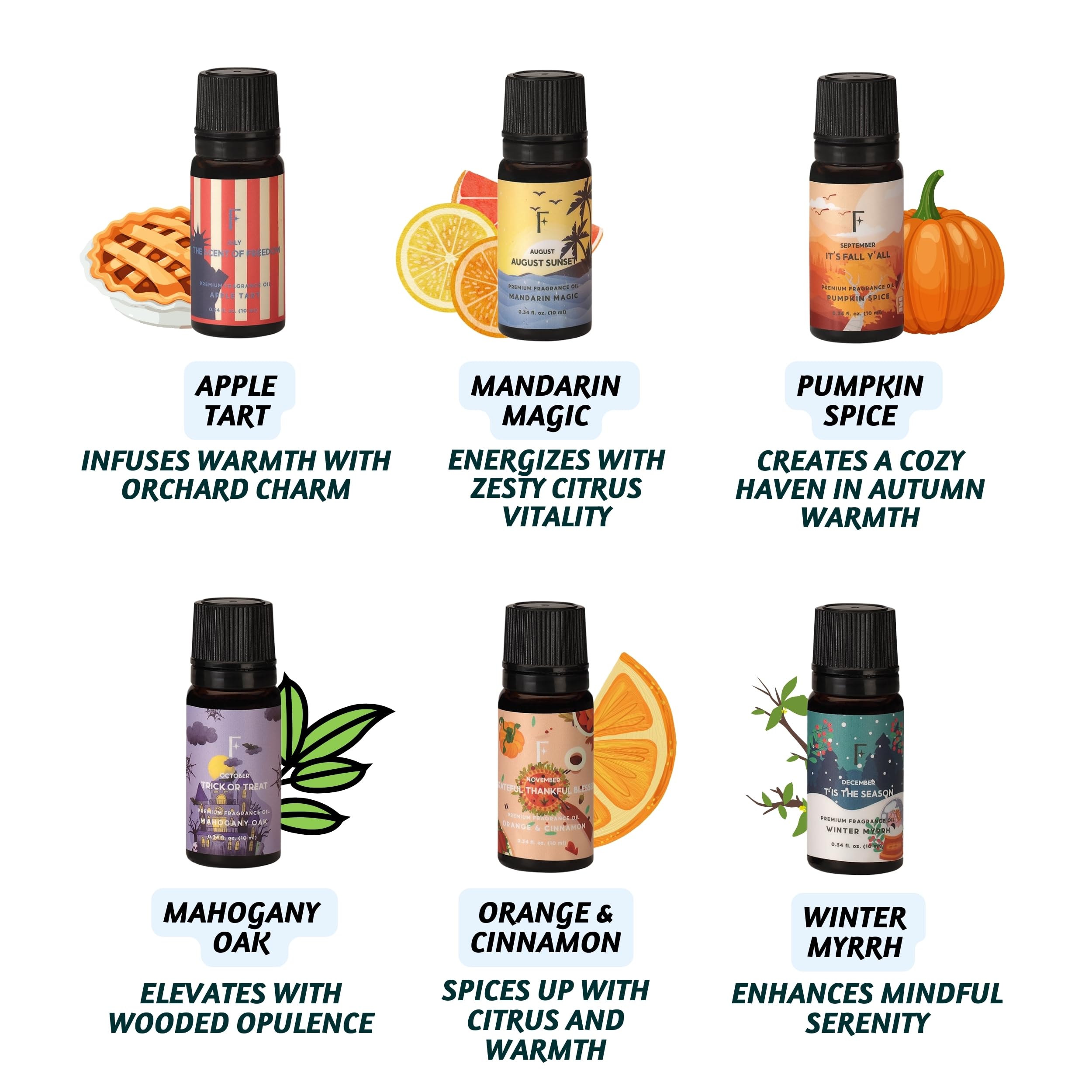 Folkulture Set of 12, 10ml Premium Fragrance Oils - A year to remember